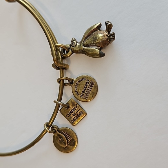 3 ALEX AND ANI Charm Bracelets - Picture 6 of 10